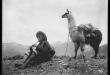 Reproducción fotográfica de imagen, campesino no identificado tocando quena en La Raya junto a auquénido. Imagen titulada por Martín Chambi "Tristeza Andina"