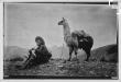 Reproducción fotográfica de imagen, campesino no identificado tocando quena en La Raya junto a auquénido. Imagen titulada por Martín Chambi "Tristeza Andina"