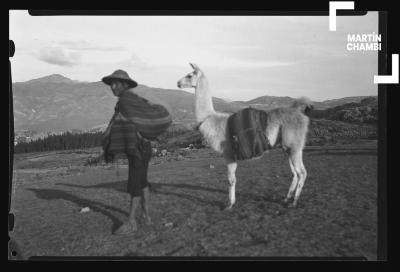 Hombre no identificado y auquénido en inmediaciones de Saqsaywaman