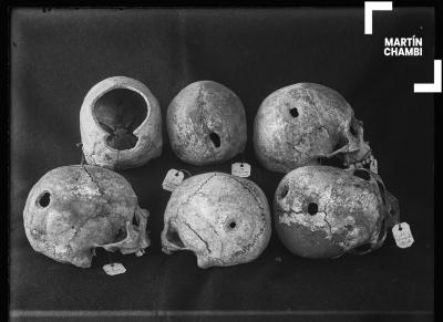 Cráneos trepanados con etiquetas numeradas de procedencia. En las etiquetas se inscriben las palabras: Hiriyuyoc Occobamba[sic], Choquepata Ollanta[sic]